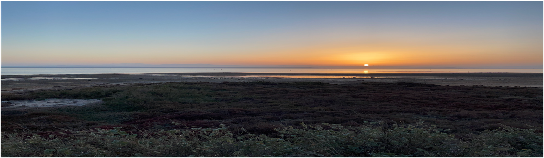 Littoral, lagunes et estuaires 