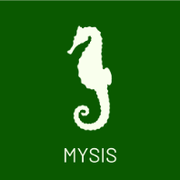 MYSIS
