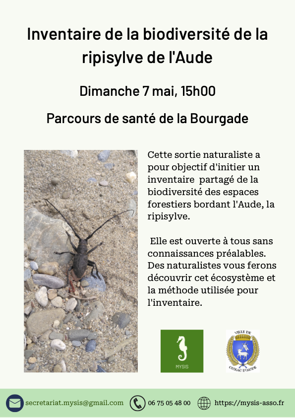 Affiche Ripisylve 07-05-23