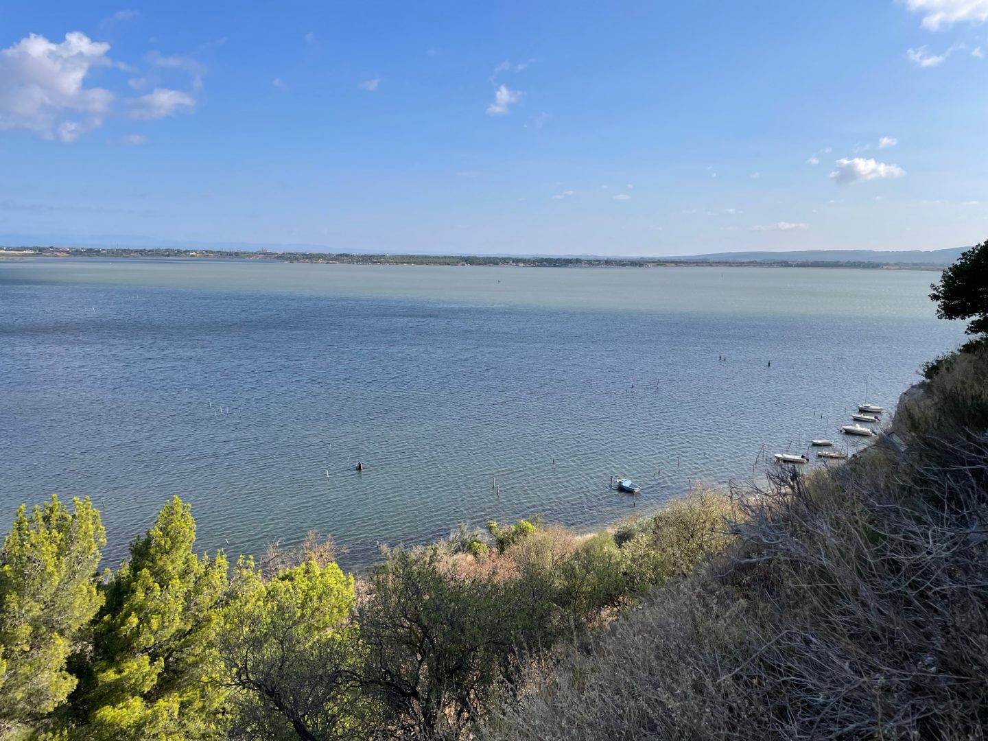 Etang de Bages Sigean