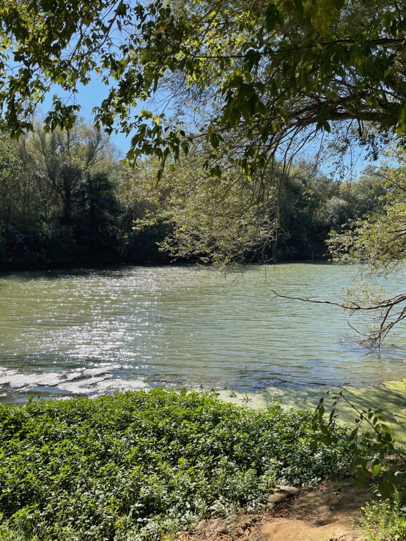 Fleuve et ripisylve