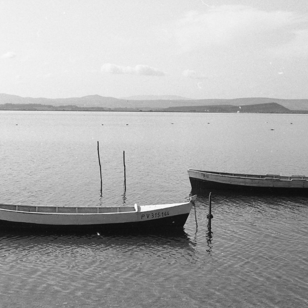 Barques090 Barques